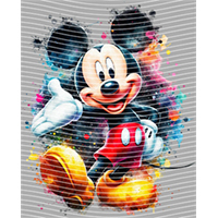 Mickey-AMQ 256
